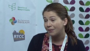 CBD COP11: Development and environment agendas must be merged