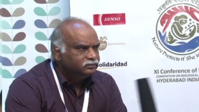 CBD COP11: Trees and ecotourism as climate change responses in India