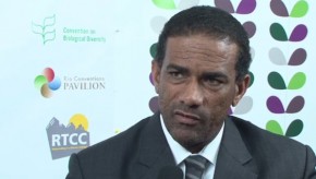 CBD COP11: British Virgin Islands: pioneers in Caribbean climate action