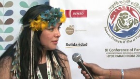 CBD COP11: Climate change is a critical issue for indigenous peoples
