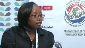 CBD COP11: Kenyan communities confront climate change