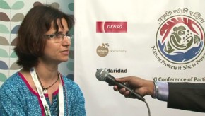 CBD COP11: Indigenous rights are a focus for biodiversity NGOs