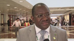 CBD COP11: Zambia going it alone on environmental projects