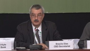 CBD COP11: Time for action on biodiversity, says CBD chief