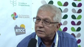 CBD COP11: Fighting climate change with smart agriculture