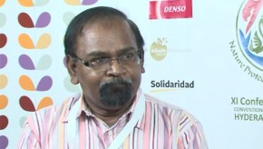 CBD COP11: Taking a moral approach to energy development