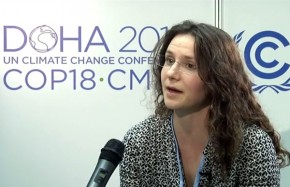 COP18: Private sector can both drive and halt deforestation
