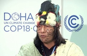 COP18: We must reconnect with nature to solve climate crisis