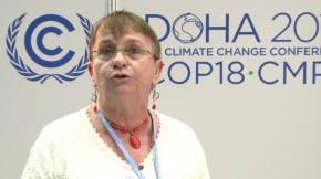 COP18: Annick Delhaye, Network of Regional Governments for Sustainability