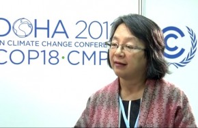 COP18: Forests are homes and habitats, not just carbon sinks
