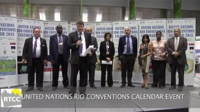 COP18: Rio Conventions 2013 Calendar Launch