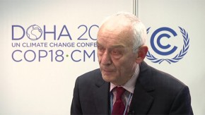 COP18: Biomass could contribute significantly to global energy