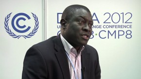 COP18: Climate proofing agriculture through agroforestry