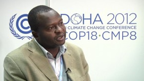 COP18: Deforestation must be tackled to combat climate change 