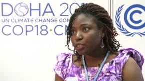Cameroon youth outline climate goals in Doha