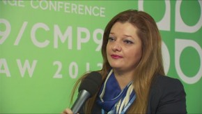 COP19: Dionysia-Theodora Avgerinopoulou, Member of Greek Parliament