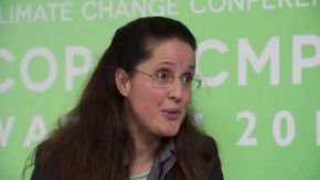 COP19: Linda Carton on finance and divestment
